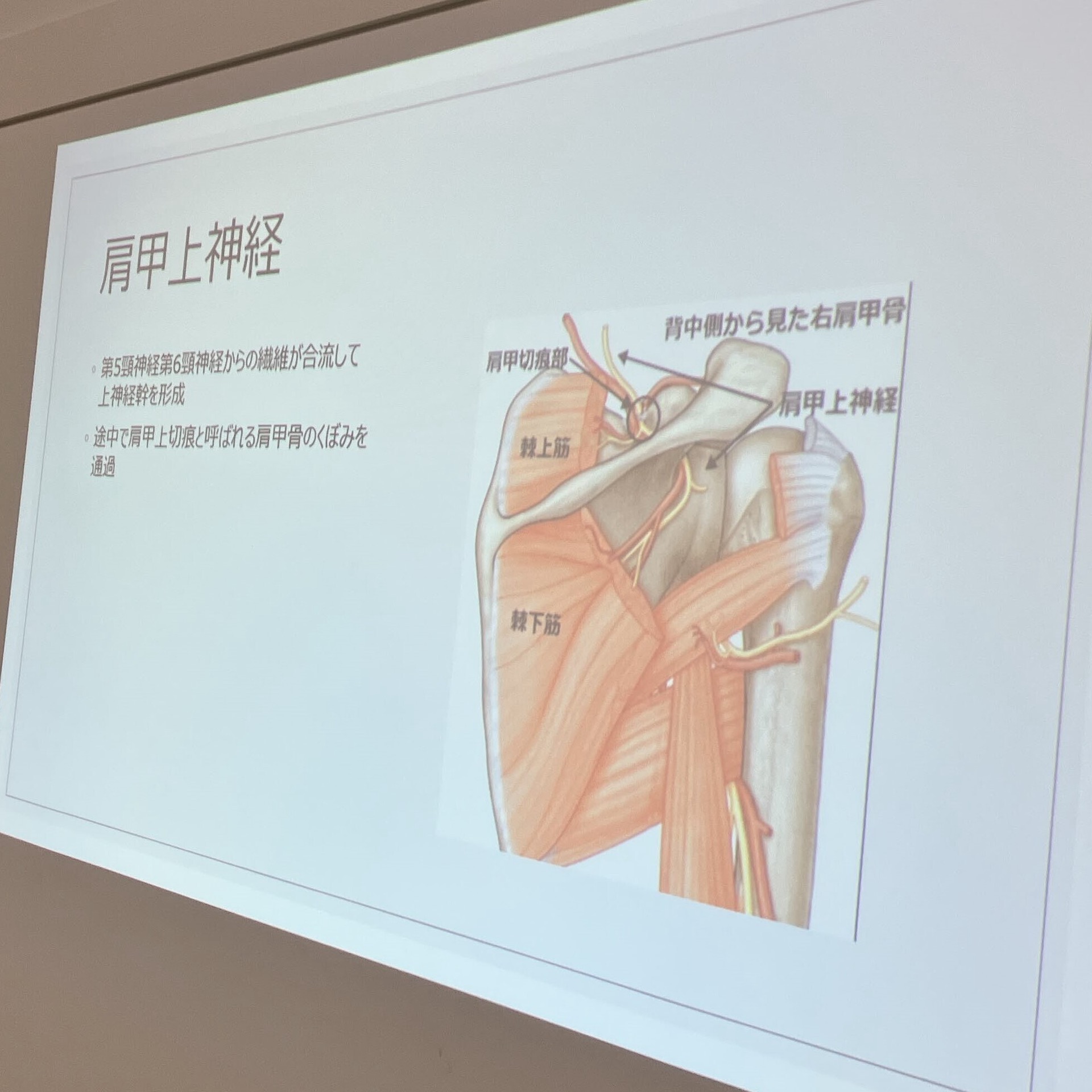 肩こり解消セミナー